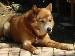 DSCN1239.JPG