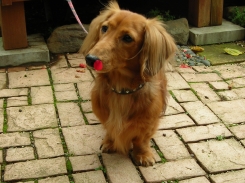 DSCN1493.JPG