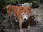 DSCN1494.JPG