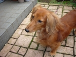 DSCN1484.JPG