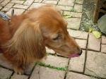 DSCN1491.JPG