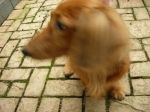 DSCN1497.JPG