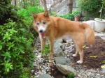 DSCN1504.JPG