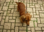 DSCN1506.JPG