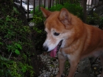 DSCN1486.JPG